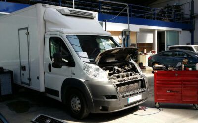 Fallos en la caja de mariposas