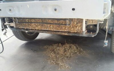 Limpieza de radiadores anual