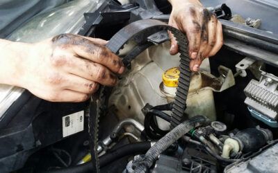 TV Cehegín, la empresa con la que hemos crecido