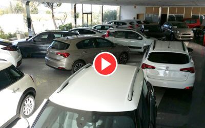 Otro día en la oficina