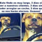 ¡Feliz fin de semana a todos!