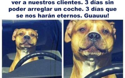 ¡Feliz fin de semana a todos!