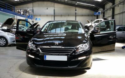 ¡Abre tus alas y echa a volar! Feliz semanas, amig@s…