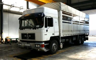 Su camión lleva roto el flexible de escape. ¿El qué?