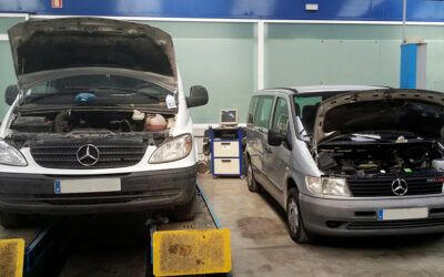 Vito, Vito, golgorito… ¿dónde vas tú tan bonito?