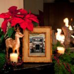 Navidades del motor: Abrisanz