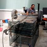Nos atrevemos con todo: reparación de un remolque clásico