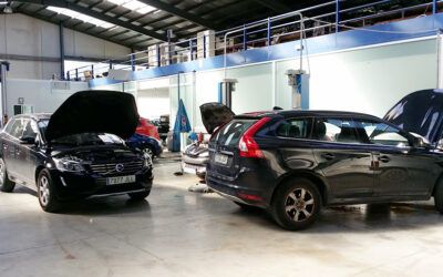 Mañana de Volvos, en Abrisanz